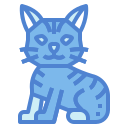 gato manx 
