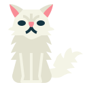 gato persa icon