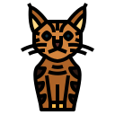 pixie bob gato icon