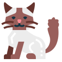 gato ragdoll icon