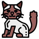 gato ragdoll icon