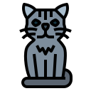 gato de pelo corto icon