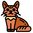 gato somalí icon