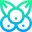 딸기 icon