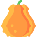 calabaza 