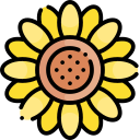 girasol icon