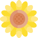 girasol