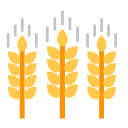 trigo icon