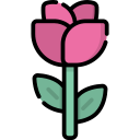 rosa icon