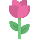 Rose icon