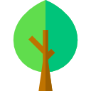 Árbol icon