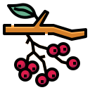 Árbol de frutas