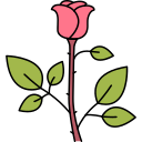 rosa icon