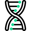 estructura del adn