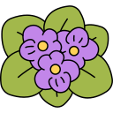 violeta icon