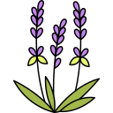 lavanda icon