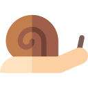 caracol icon