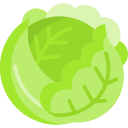 lechuga icon