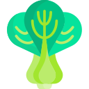 bok choy icon