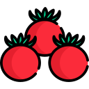 tomate cherry 