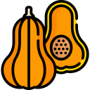 calabaza icon