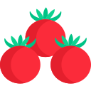 tomate cherry 