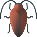 cucaracha 