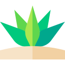 agave icon