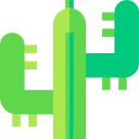 cactus icon