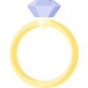 anillo icon