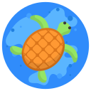 tortuga icon