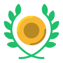 medalla de oro icon