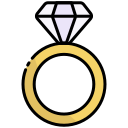 anillo icon