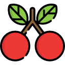 cereza icon