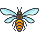 abeja icon