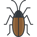 cucaracha 