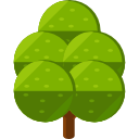 Árbol icon