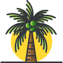 palmera icon