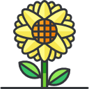 girasol icon