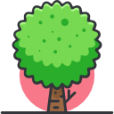 Árbol icon