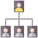 estructura de organización