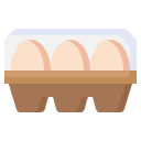 carton de huevos icon