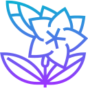 lilium icon