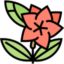 lilium icon