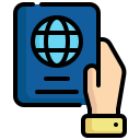 pasaporte icon