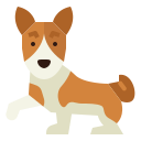 basenji 