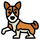 basenji icon