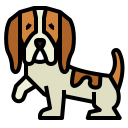 basset hound icon