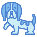 basset hound icon