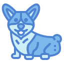 corgi icon